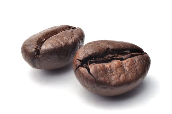 close up of two dark roasted fair trade coffee beans on a white
