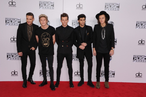 CA: 2014 American Music Awards