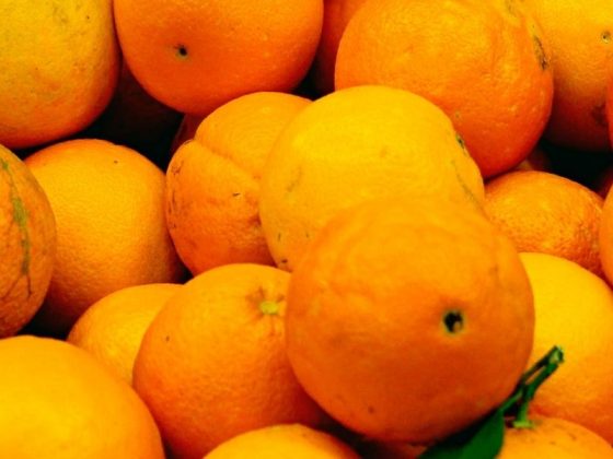 Vitamin C Kolagen Terbaik Kulit Wajah