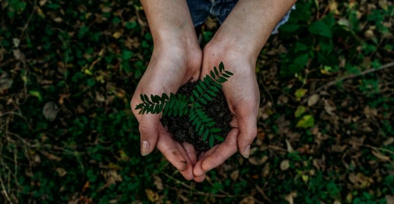 5 Sumbangan Anda Boleh Lakukan Untuk Bumi Yang Lebih Lestari Tahun Ini