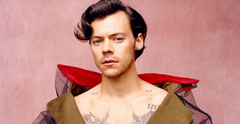 15 Perkara Anda Mungkin Belum Tahu Mengenai Harry Styles