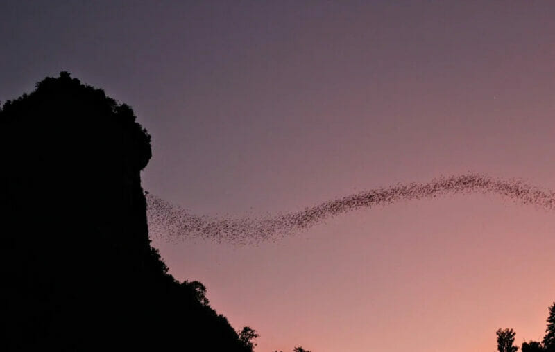 Selain Gua Tham Luang, Ini Senarai Gua Paling Unik Di Thailand