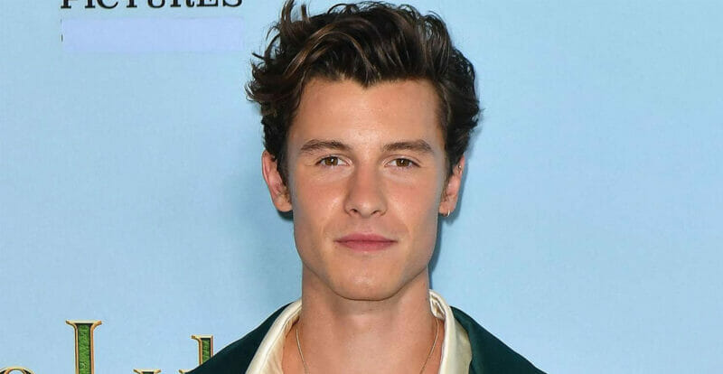 Shawn Mendes Bercinta Dengan Doktor Usia 51 Tahun?