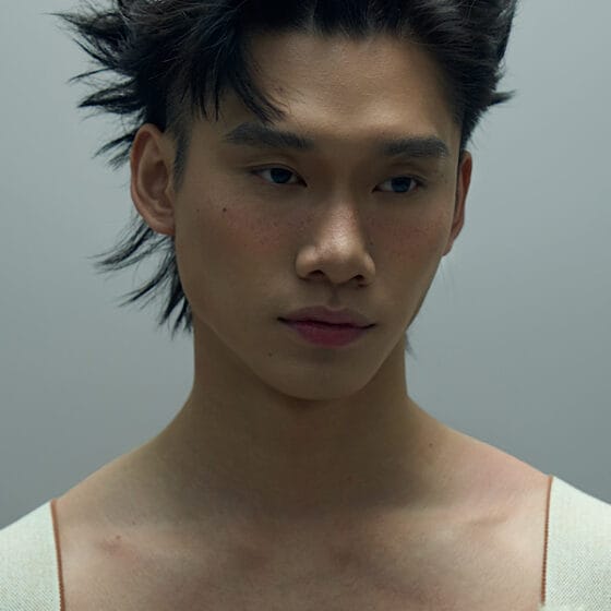 Zze model